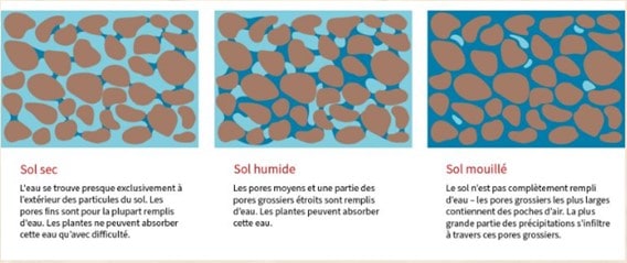 Types de sols